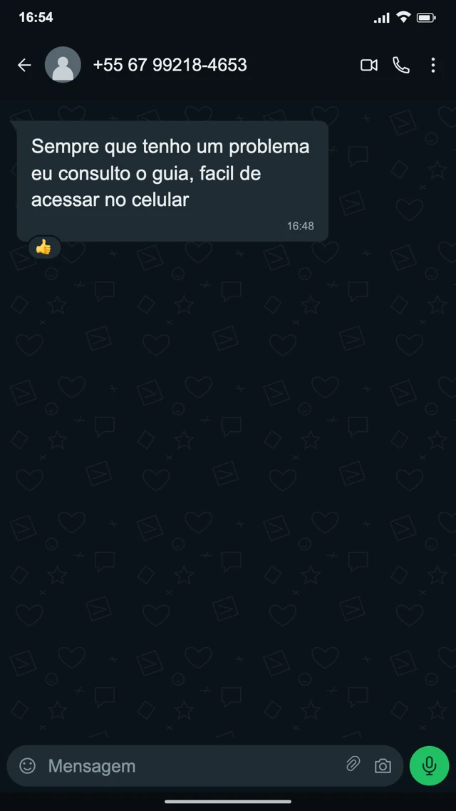 Conversa de cliente sobre os mapas de energia solar — depoimento 02